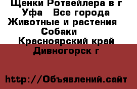 Щенки Ротвейлера в г.Уфа - Все города Животные и растения » Собаки   . Красноярский край,Дивногорск г.